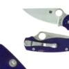 Para Military 2 Dark Blue Knife