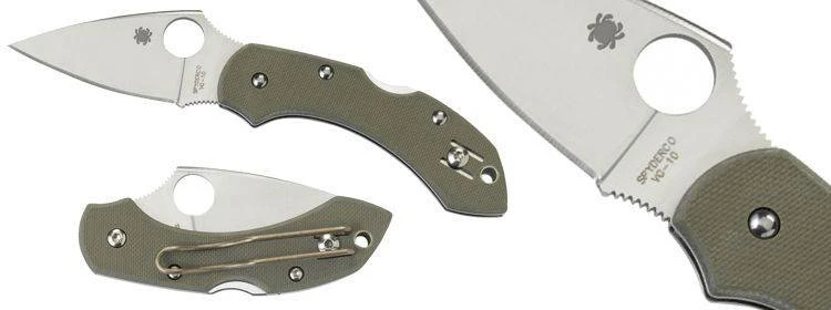 Dragonfly Foliage Green