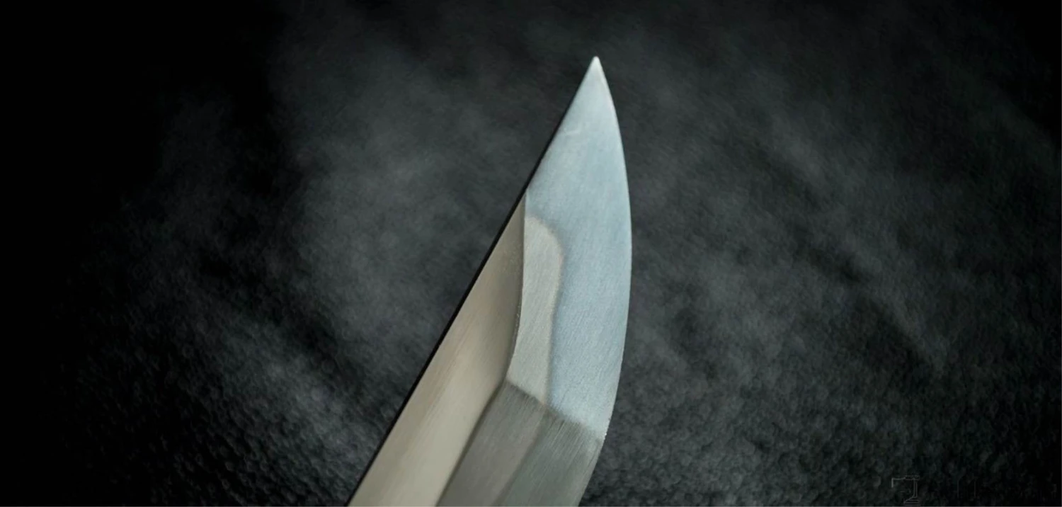 Kohaku Katana - Image 14