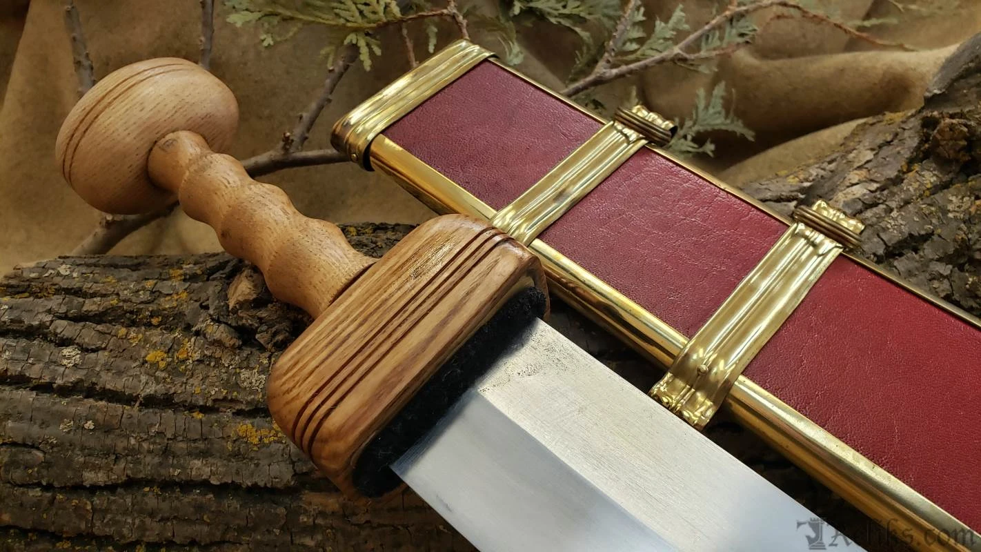 Pompeii Gladius Sword - Image 4
