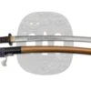 Kinryu Katana